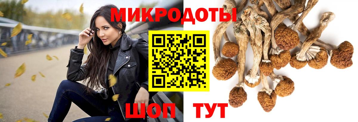 Новый Уренгой  Псилоцибиновые грибы Magic Shrooms  Вход с VPN 